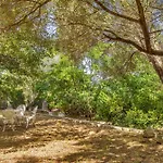Maison Saligastri Corbara